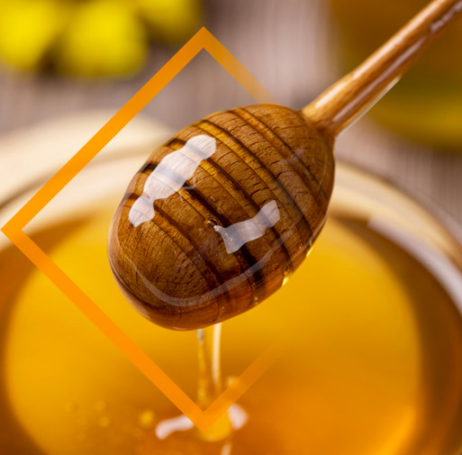Risques pour la santé humaine liés à la présence de Grayanotoxines dans certains miels (EN)